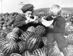 Дети едят арбуз (30-ее гг 20-го века)