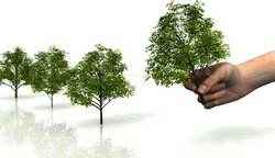 Акция "Отдадим деревья в хорошие руки"