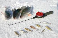 Определены победители Чемпионата по ловле рыбы со льда на зимнюю блесну
