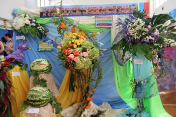 В Камышине прошел Арбузный фестиваль
