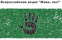 В Волгоградской области проходит Всероссийская акция «Живи лес!»