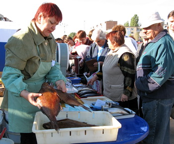 Камышинские переработчики волжской рыбы