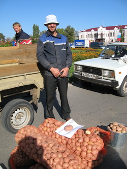 Картофель - дешевле у местного производителя