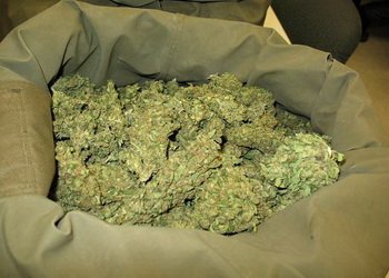 Фото парней марихуана тор браузер для чего используют попасть на гидру