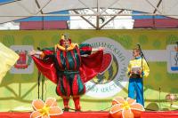 В Камышине идет подготовка полным ходом к VIII Камышинскому арбузному фестивалю «Зело отменный плод!»