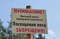 В лесах Волгоградской области введен режим чрезвычайной ситуации регионального характера