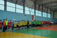 В Камышине стартовали зональные соревнования по гандболу