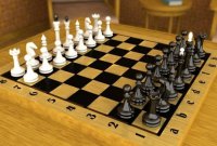 Шахматно-шашечный турнир &laquo;Снежная королева&raquo;