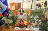 Прием заявок на участие в конкурсе-выставке цветов в рамках X Камышинского арбузного фестиваля «Зело отменный плод!»