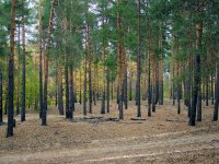 На территории Волгоградской области отменен особый противопожарный режим